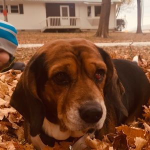 Meet your Posher, Allison